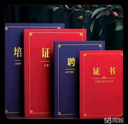 专业证件制作方法背后的真相,多数人不知道的两种路径